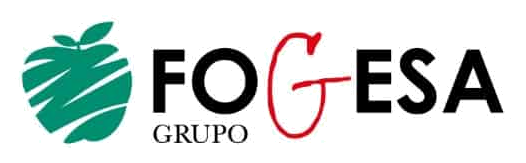 Grupo Fogesa